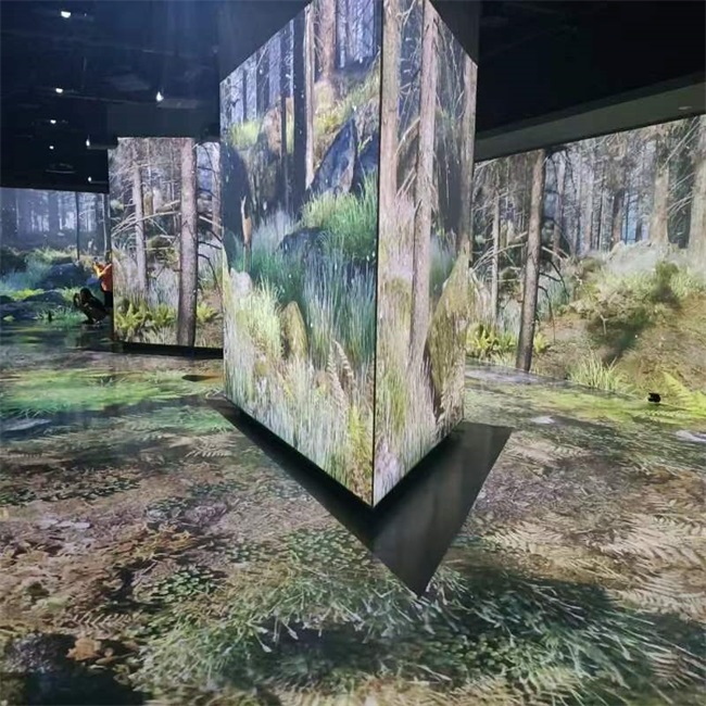 探索鳥類王國，看創(chuàng)意光影下的飛羽之美